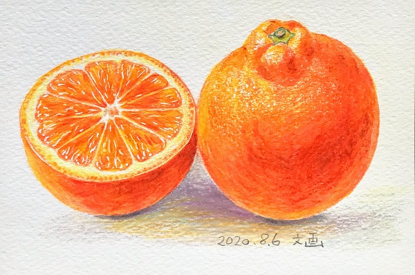 �y�����F���M��