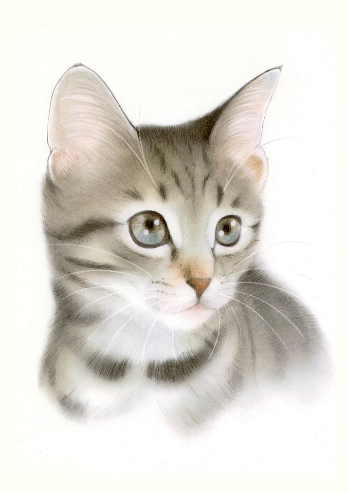 �F���M�Ńy�b�g��`��