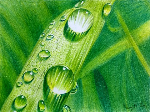 リアル色鉛筆画