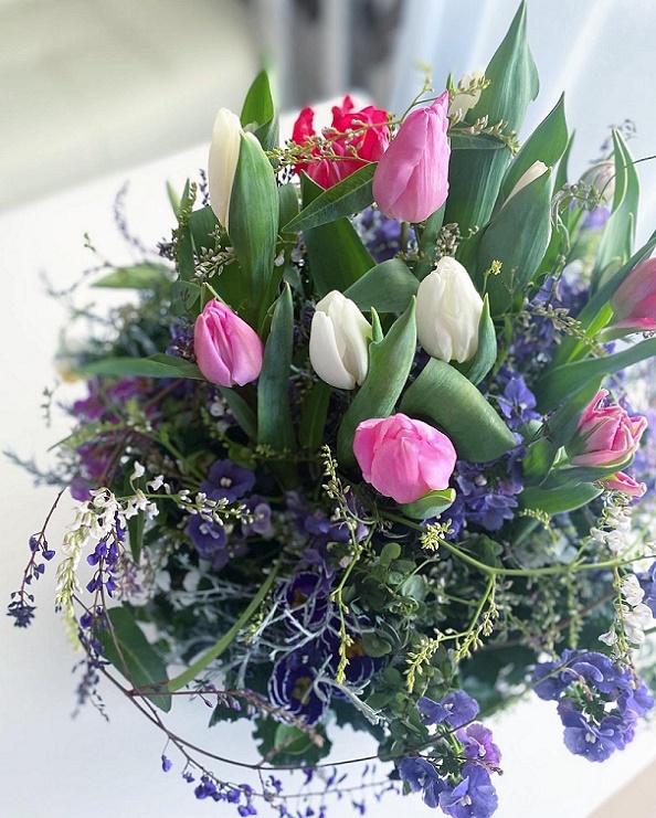 �v�����c�M���U�����O�i�S3��j
