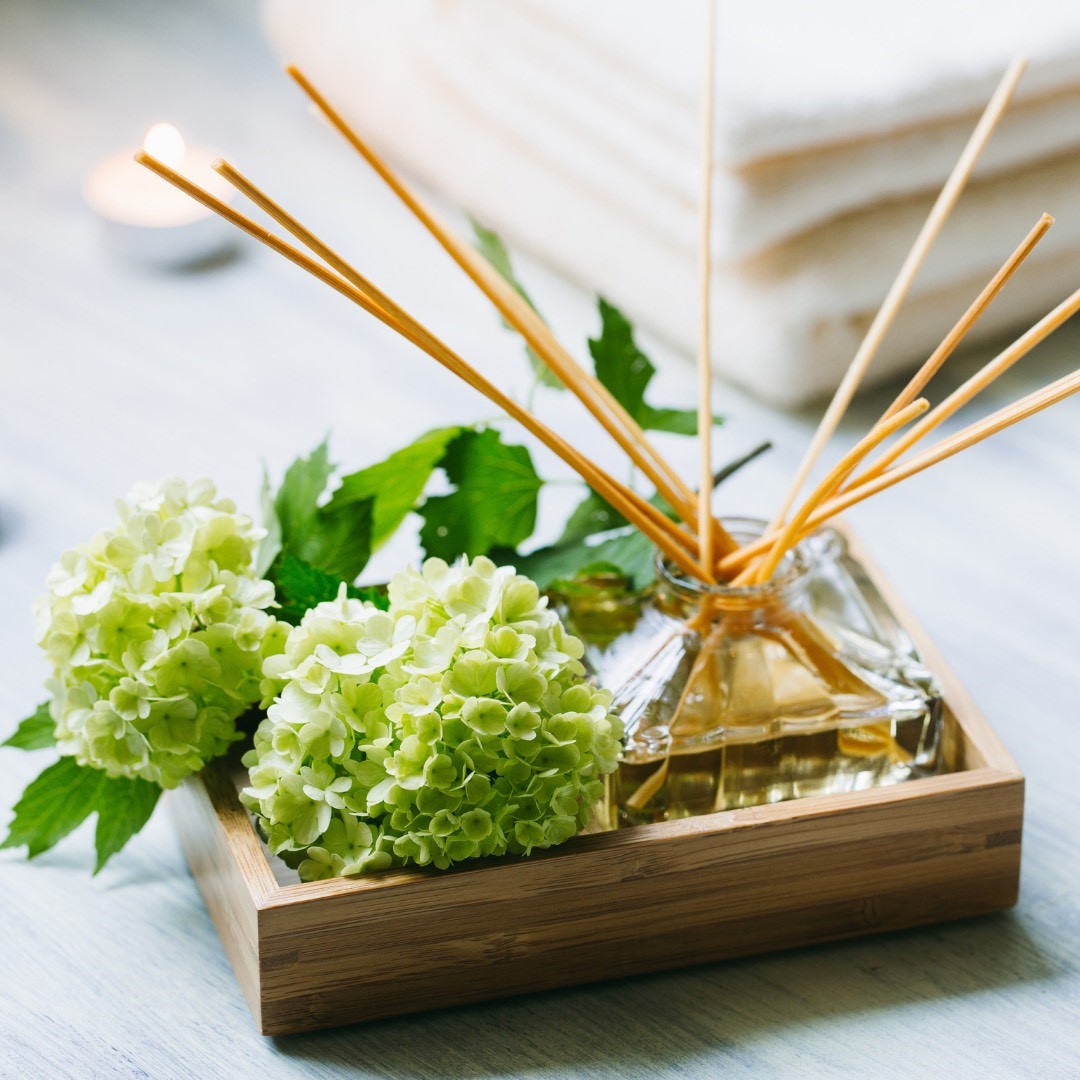 �i�`�������A���}�P�A�u��