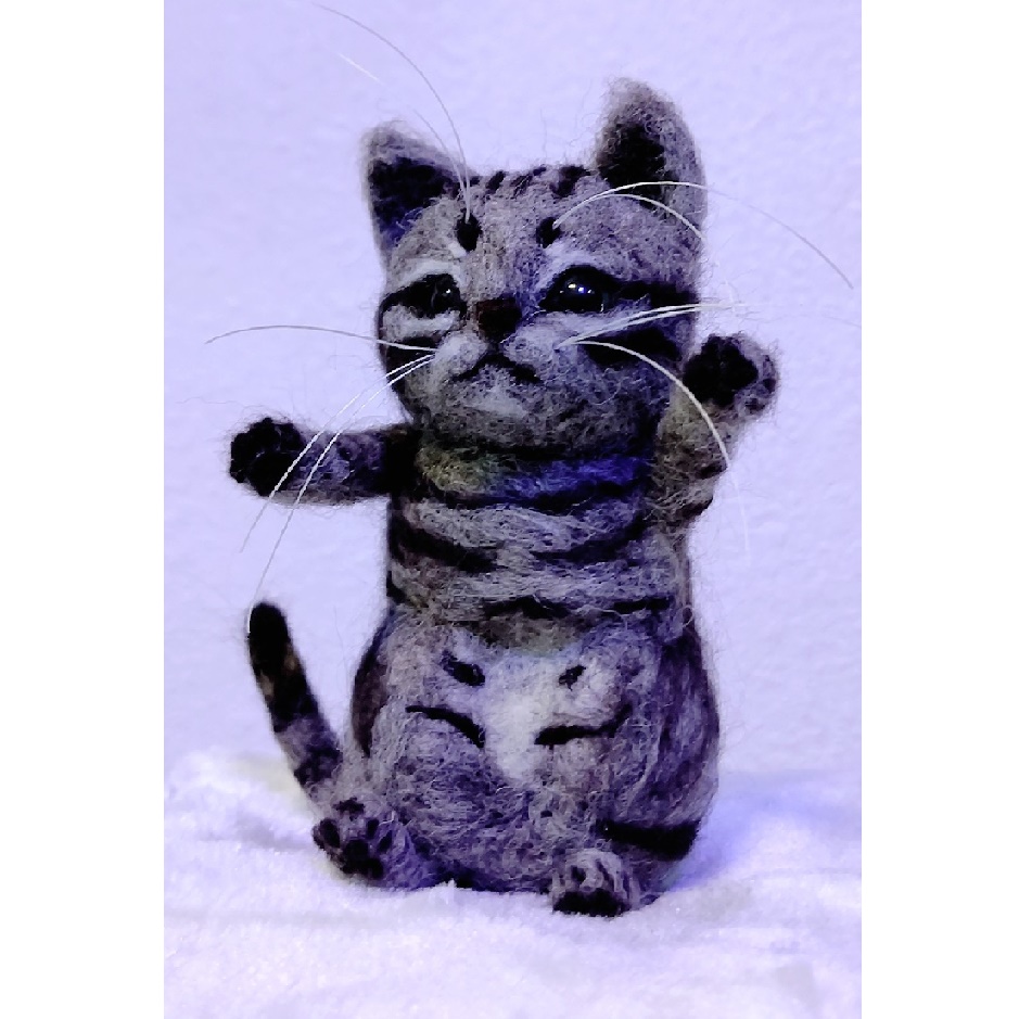 �r�уt�F���g