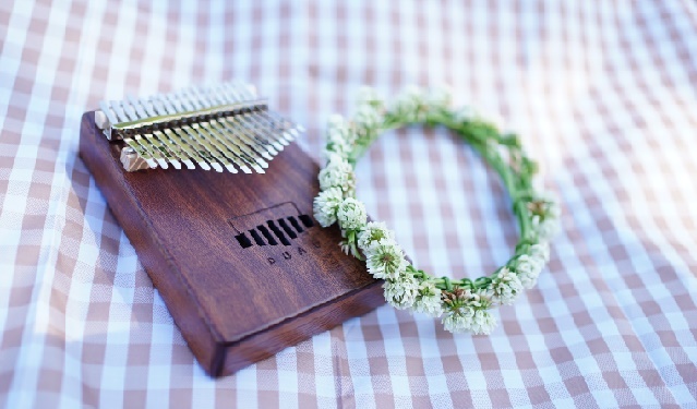 �J�����o