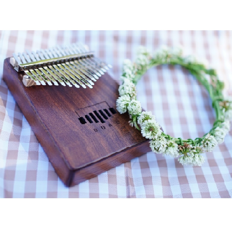 �J�����o����i�S8��j