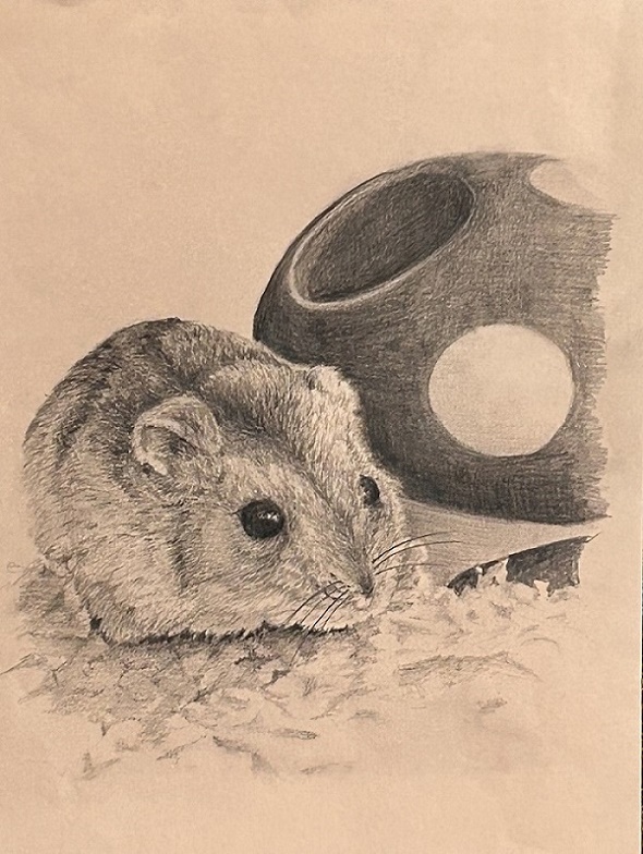 鉛筆画 全2回