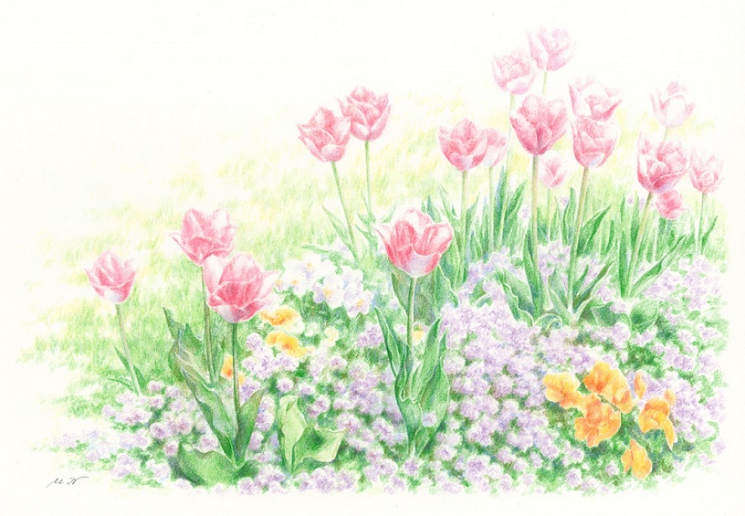 �͂��߂Ă̐F���M�A�[�g