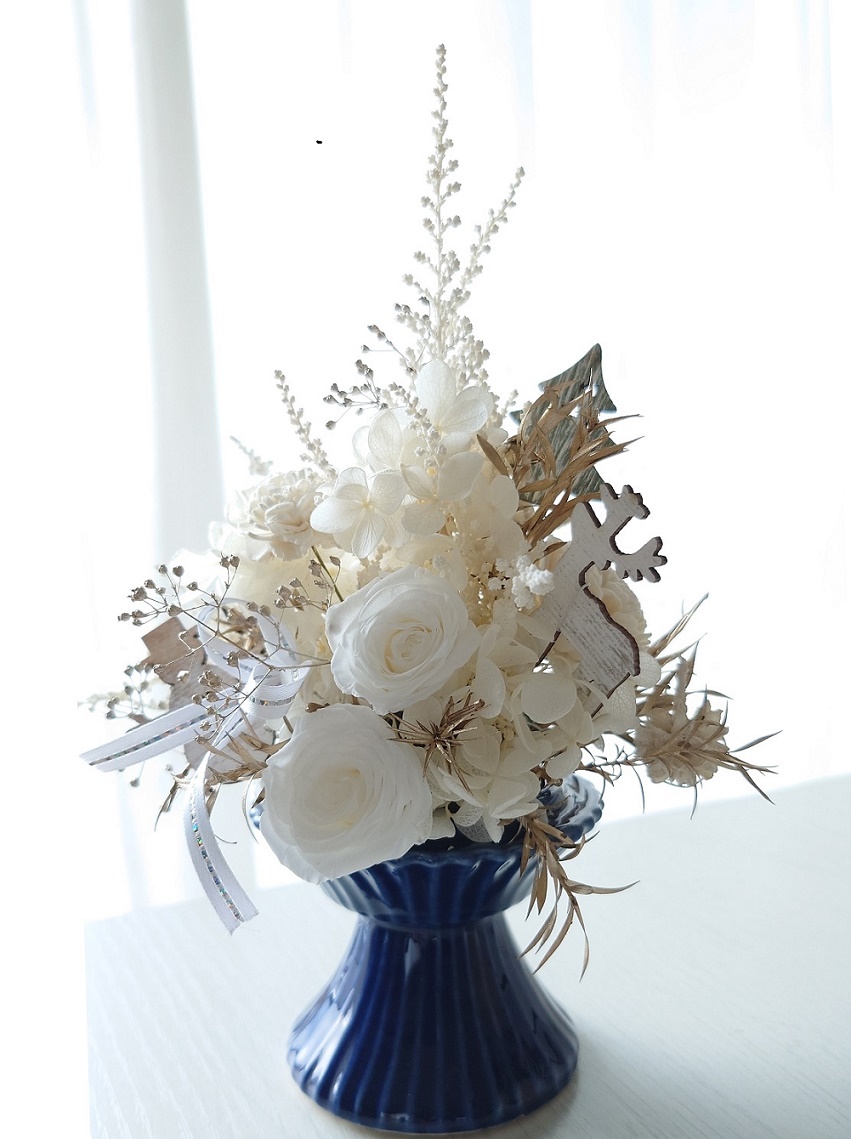 �v���U�[�u�h�̃z���C�g�N���X�}�X�c���[ 12/1(��)