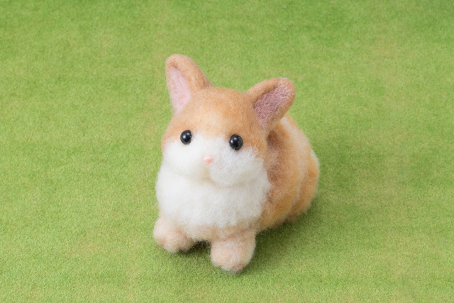 �r�уt�G���g�̂ӂ�ӂ키���� 7/25(�y)